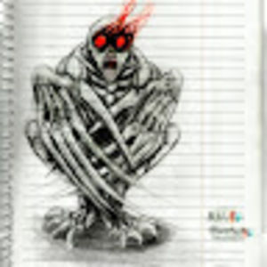 Meet your Posher, Shane